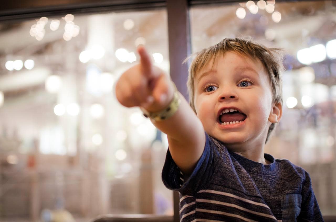 little boy pointing at Great Wolf Lodge - tips for photographing toddlers