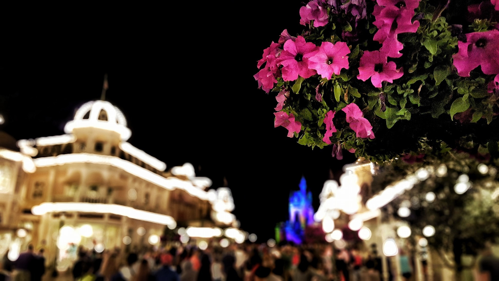 How to plan a Disney World Vacation with these Walt Disney World Vacation Tips. These Disney World Vacation Tips and Tricks can create a more magical experience.