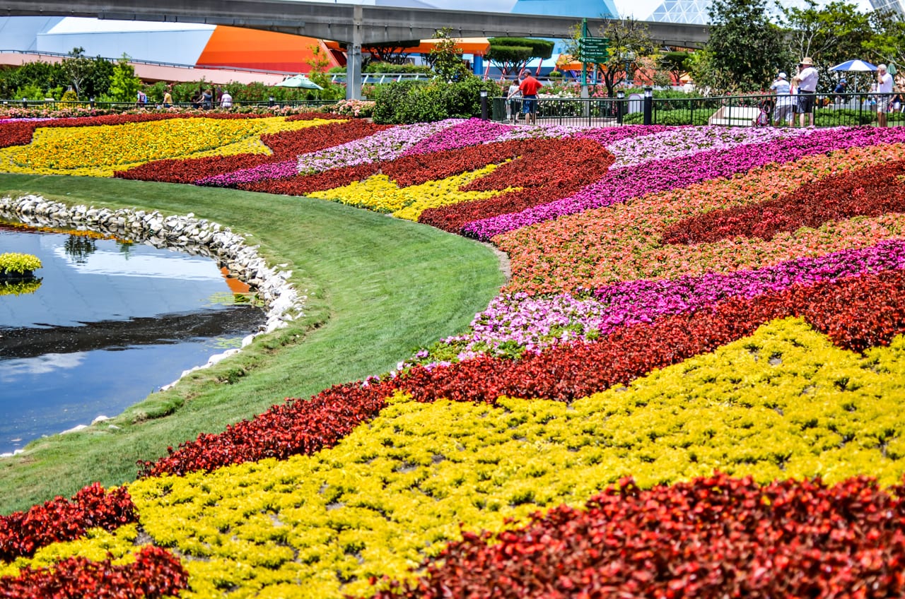 Don't overlook the Epcot Flower and Garden Festival at Walt Disney World. The Topiaries, Concerts and Outdoor Kitchens bring on a new flavor of travel fun. 