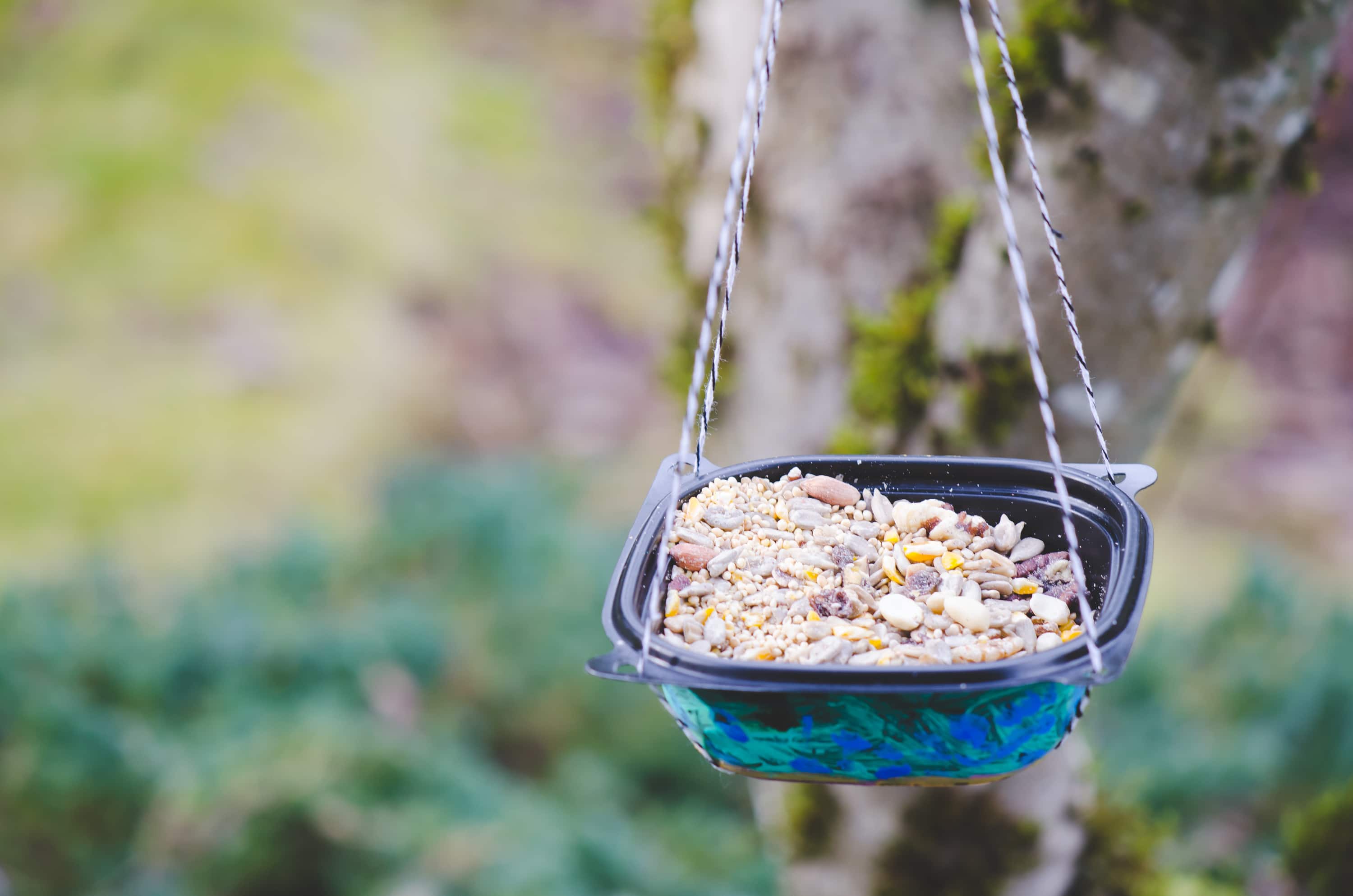 DIY Bird Feeder