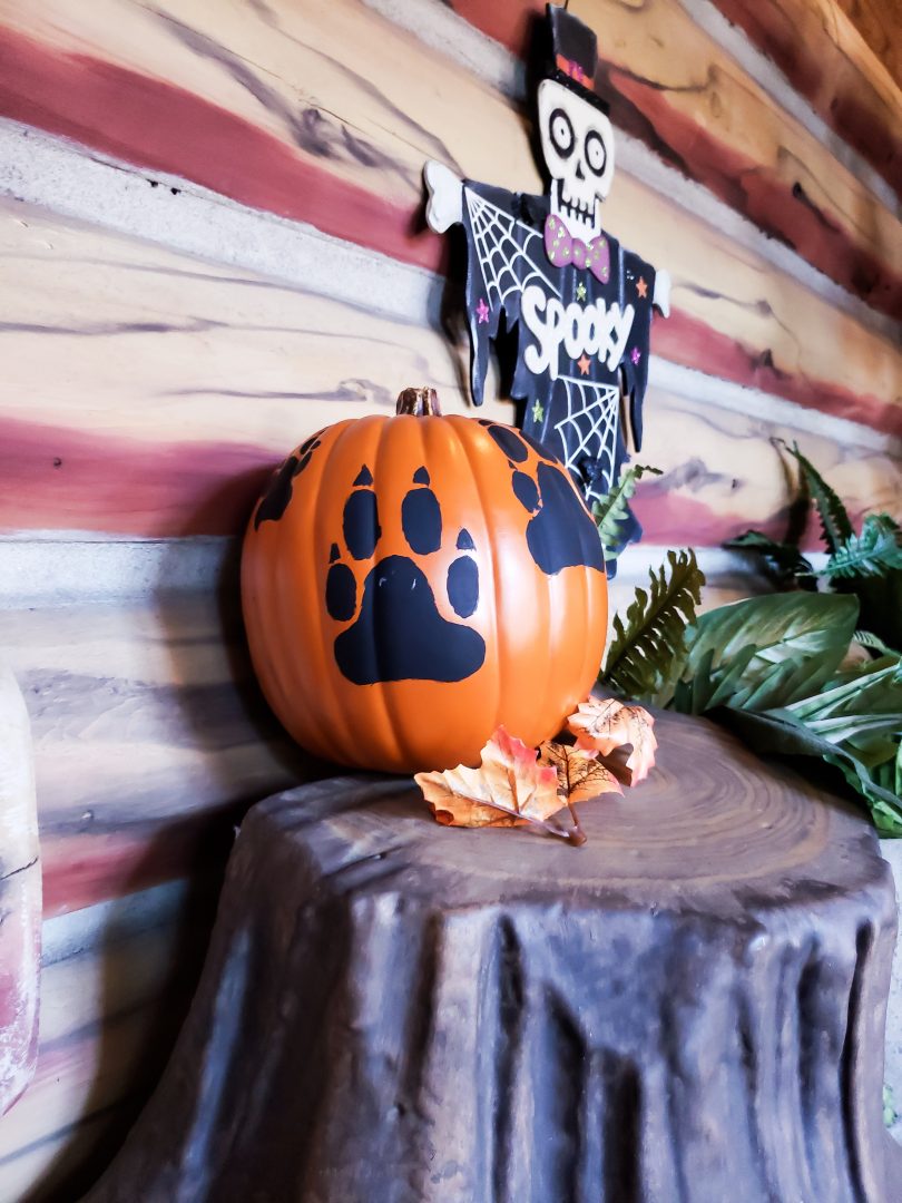 Halloween Great Wolf Lodge Decorations