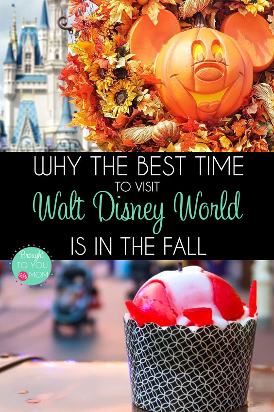 When is the best time to visit Walt Disney World