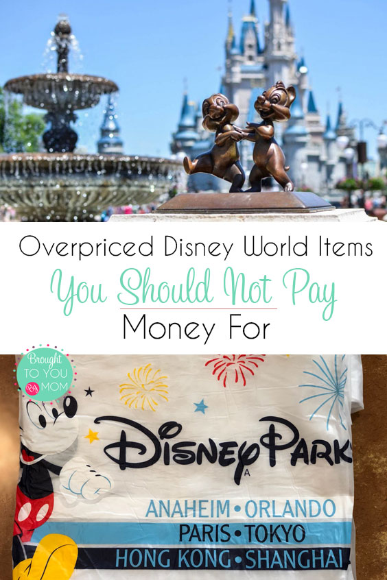 Overpriced Items Not to Buy at Walt Disney World