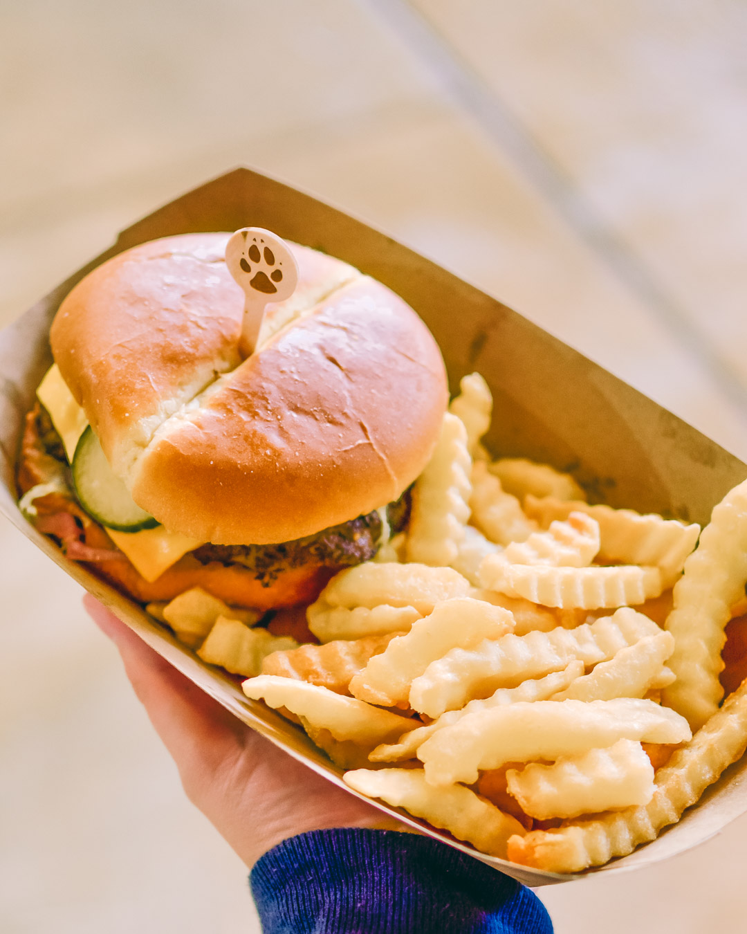 Great Wolf Lodge Burger and Fries Basket