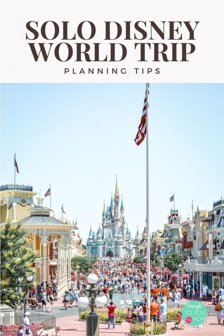 Solo Disney World Trip Planning Tips