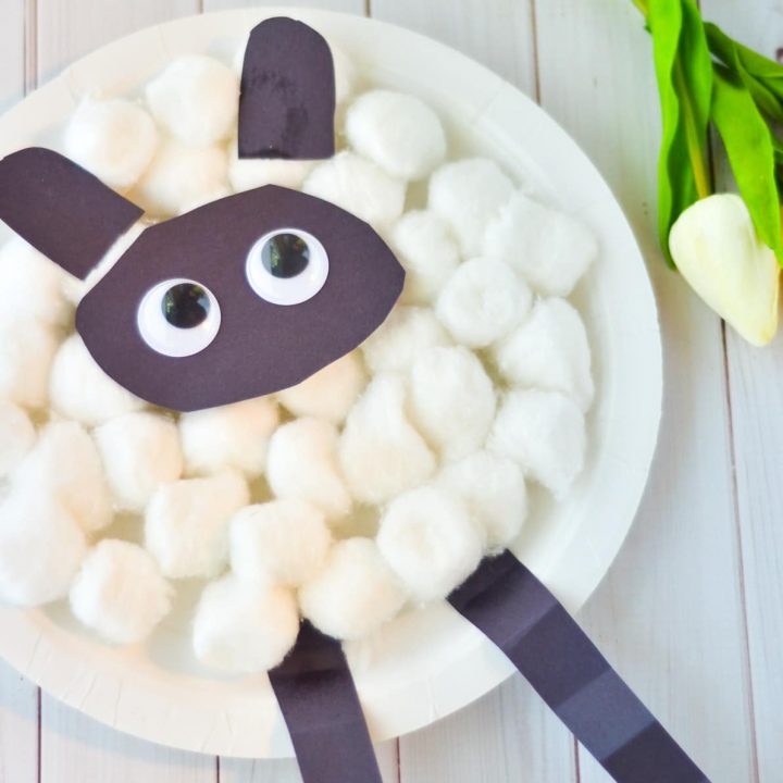 paper plate sheep craft with tulips