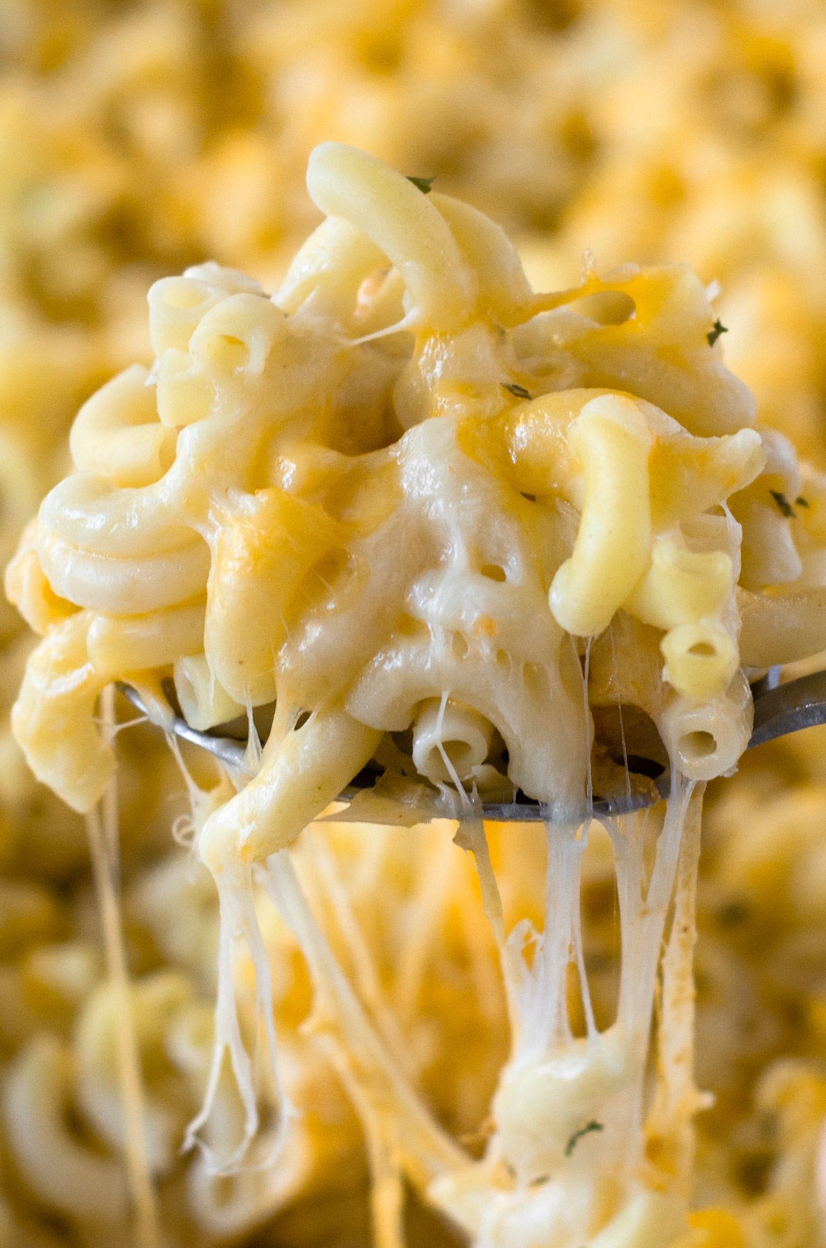 mac and cheese being pulled from casserole with cheesy strings on spoon
